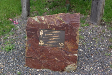 Photograph, Leadbeater's Possum Rediscovery Memorial, 2014, 04/11/2014