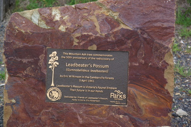 Photograph, Leadbeater's Possum Rediscovery Memorial, 2014, 04/11/2014