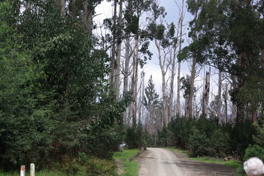 Photograph, Clare Gervasoni, Camberville, 2014, 04/11/2014