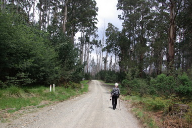Photograph, Camberville, 2014, 04/11/2014