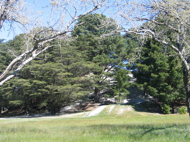 Photograph, Mullock Heap In Victoria Park, Ballarat, 2014, 04/11/2014