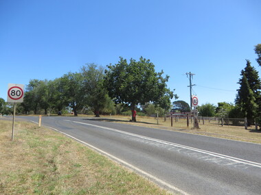 Photograph - Colour, Clare Gervasoni, Digby Avenue of Honour, Victoria, 22/12/2015