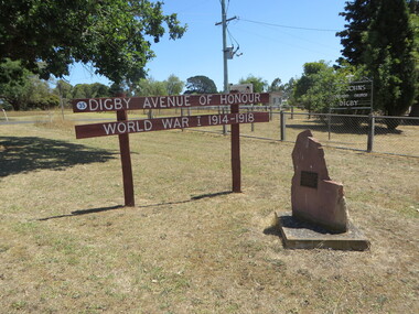 Photograph - Colour, Clare Gervasoni, Digby Avenue of Honour, Victoria, 22/12/2015