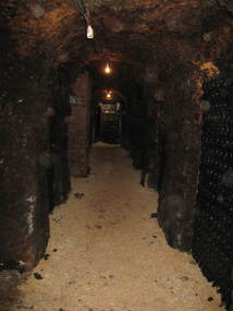 Photograph - Colour, Clare Gervasoni, Great Western Winery, 2010, 10/12/2010