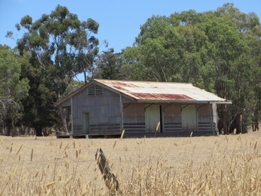 Photograph, Henty Railway Siding, 2015, 22/12/2015