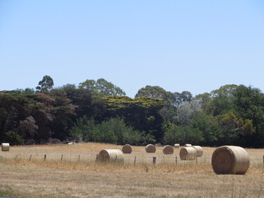 Photograph, Clare Gervasoni, View From St Paul's Church of England, Henty, 2015, 22/12/2015