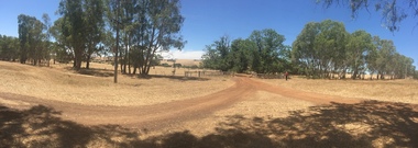 Photograph, Clare Gervasoni, Entrance to Merino Downs Henty, 2015, 22/12/2015