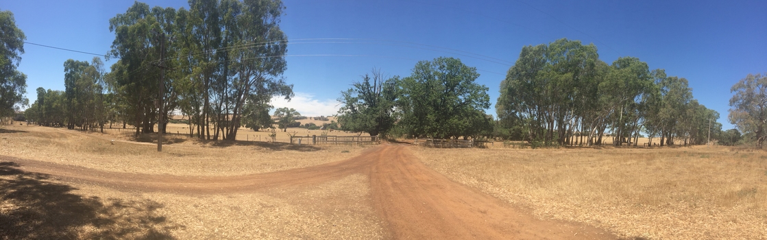 Entrance to Merino Downs, Henty, 2015