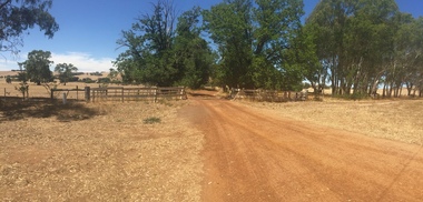Photograph, Clare Gervasoni, Entrance to Merino Downs Henty, 2015, 22/12/2015