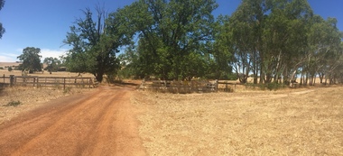 Photograph, Clare Gervasoni, Entrance to Merino Downs Henty, 2015, 22/12/2015