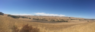 Photograph, Clare Gervasoni, Entrance to Merino Downs Henty, 2015, 22/12/2015