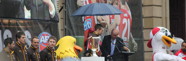 digital photographs, Lisa Gervasoni, Grand Final Parade, c2015