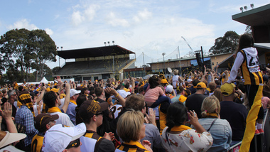 Digital photograph, Lisa Gervasoni, Hawthorn Premiers, 2015, c2015