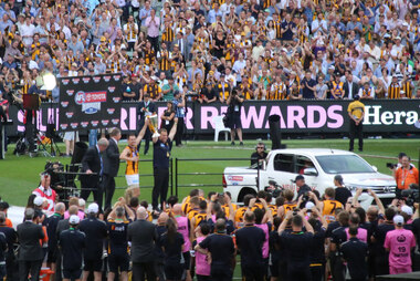 Digital photograph, Lisa Gervasoni, Hawthorn 2015 Premiers, c2015