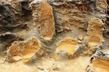 Digital photograph, Lisa Gervasoni, Petrified Forest at Cape Bridgewater, c2015