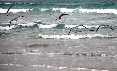 Digital photograph, Lisa Gervasoni, Cape Bridgewater, c2015