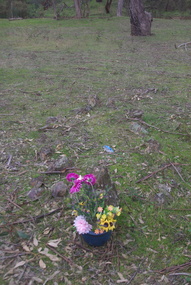 Photograph - Colour, Grave in Vaughan Cemetery, 2017, 16/07/2017