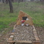 gravestone