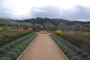 Photograph - Colour, Clare Gervasoni, Spring at Lambley Nursery, Ascot, 2017, 01/10/2017