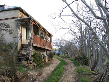 Photograph - Photograph - Colour, Pine View, Yandoit Creek, 2004, 26/06/2004