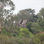 Remains of Angus McMillan's Bushy Park Home, 2014