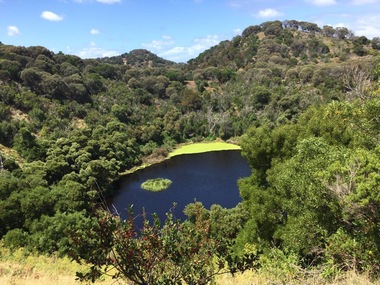Photograph - Colour, Volcanic Crater at Tower Hill, 2017, 2017
