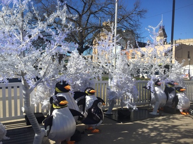 Photograph - Colour, 'Penguins' in Sturt Street, Ballarat, 21/07/2018