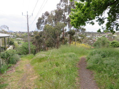 Photograph - Photograph - Colour, W Track, White Flat, Ballarat, 2016, 25/10/2016