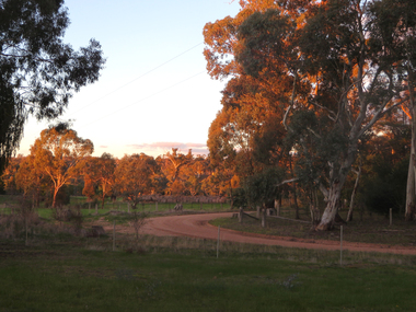 Photograph - Photograph - Colour, Clare Gervasoni, Evening View at Clydesdale, Victoria, 2018, 14/05/2018