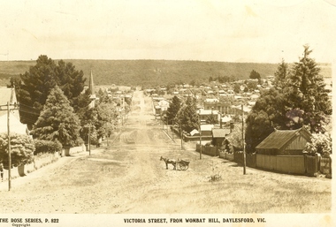 Photograph - Digital photographs, Victoria Street, Daylesford from Wombat Hill