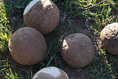 Photograph - Colour, Clare Gervasoni, Wooden bocce balls at Yandoit Creek, 2016, 2016