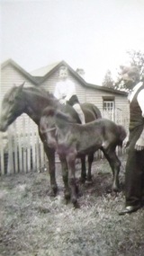 Photograph - Black and White, Gus and John Hogan Gervasoni at Stanley Street, Daylesford, c1935, c1935