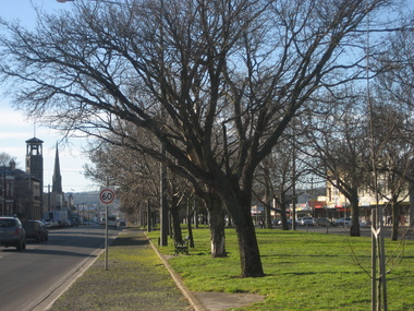 Photograph - Colour, L.J. Gervasoni, Sturt Street Gardens, Ballarat, 25/07/2015