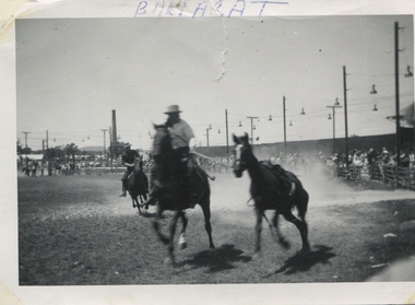 b & w photograph, Ballarat Rodeo, 1962