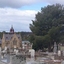 Bendigo Cemetery, 2018