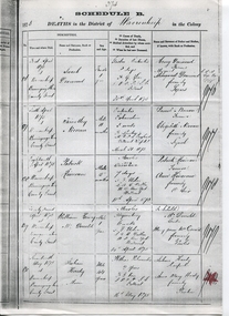 Photograph - digital copy, Death Certificate for Julien Hardy, 1975