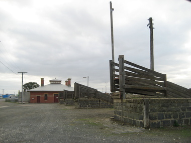 Photograph, L.J. Gervasoni, Cattle Race at the Ballarat Saleyards, 2008, 27/06/2008