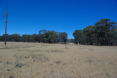Photograph, Kurting, Victoria, 2016, 10/01/2016