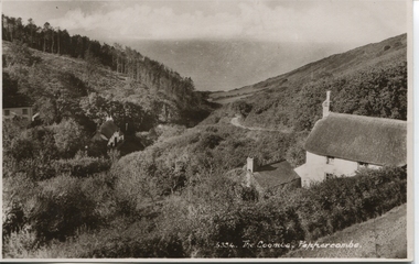 Photograph - Postcard, Devon, The Coombes, Peppercombe