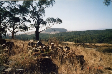 Photograph - Photograph - Colour, Clare Gervasoni, Pedretti Homestead Ruins at Elevated Plains, Victoria, c1990, 22/04/1991