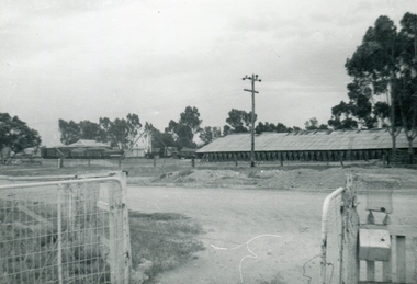 Photograph - Image - Black and White, Shedding