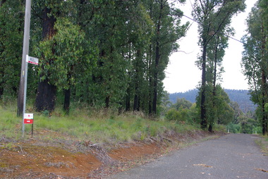 Photograph - Colour, Clare Gervasoni, Hull Street, Marysville, 2012, 15/12/2012