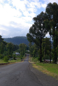 Photograph - Colour, Clare Gervasoni, Kings Road, Marysville, 2012, 15/12/2012