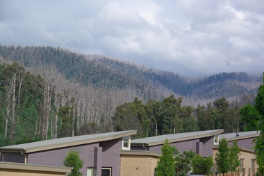 Photograph - Colour, Clare Gervasoni, McKitchiner Street, Marysville, 2012, 15/12/2012