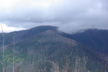 Photograph - Photograph - Colour, Clare Gervasoni, Marysville after 'Black Saturday' from Nicholl Lookout , 2012, 16/12/2012