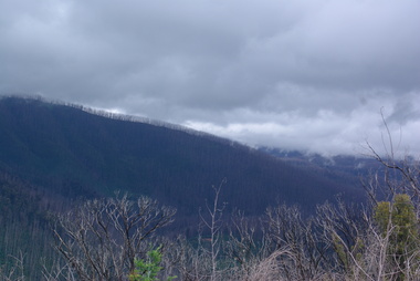 Photograph - Colour, Clare Gervasoni, Marysville after 'Black Saturday' from Nicholl Lookout , 2012, 16/12/2012