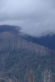 Photograph - Colour, Clare Gervasoni, Marysville after 'Black Saturday' from Nicholl Lookout , 2012, 16/12/2012