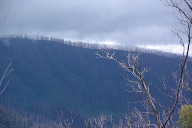 Photograph - Colour, Clare Gervasoni, Marysville after 'Black Saturday' from Nicholl Lookout , 2012, 16/12/2012