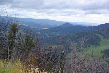 Photograph - Colour, Clare Gervasoni, Marysville after 'Black Saturday' from Nicholl Lookout , 2012, 16/12/2012