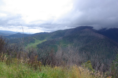 Photograph - Colour, Clare Gervasoni, Marysville after 'Black Saturday' from Nicholl Lookout , 2012, 16/12/2012